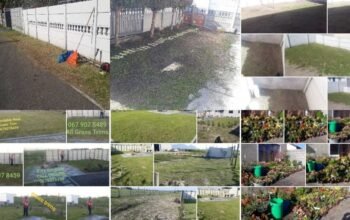 Undones Gardening and Cleaning Service