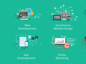 Web Alive (Australia’s leading website design and development company)