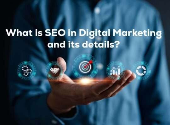 What is SEO in digital marketing and its details?