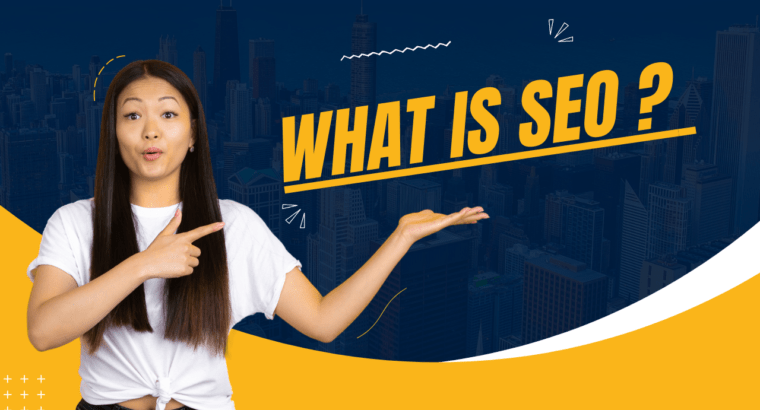 What is Search Engine Optimization?