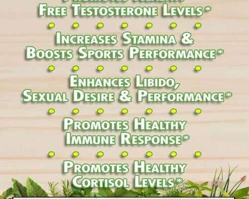 NHR SCIENCE LJ100® Tongkat Ali Extract – Naturally Restores Healthy Testosterone Levels