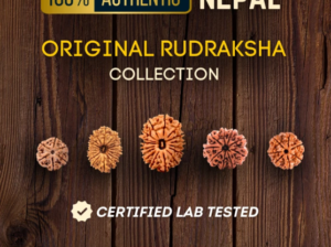 Buy authentic Rudraksha online