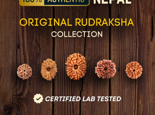 Buy authentic Rudraksha online