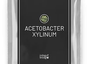 Order Acetobacter xylinum Today – Factory Price & Worldwide Shipping