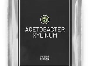 Order Acetobacter xylinum Today – Factory Price & Worldwide Shipping