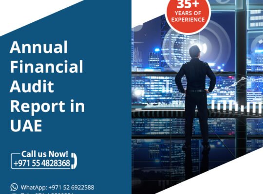 Annual Financial Audit Report in UAE