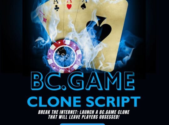 Launch a BC.Game Clone Software That Redefines Crypto Casinos Forever