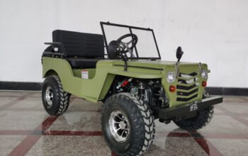 Kids Mini Jeeps 4 Stroke 125cc Jeep Car Go Kart Leisure and Entertainment Cart Buggy