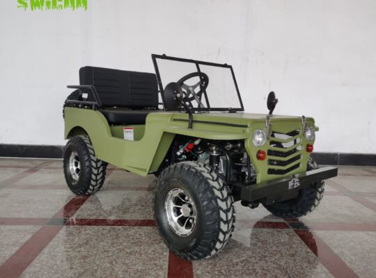 Kids Mini Jeeps 4 Stroke 125cc Jeep Car Go Kart Leisure and Entertainment Cart Buggy