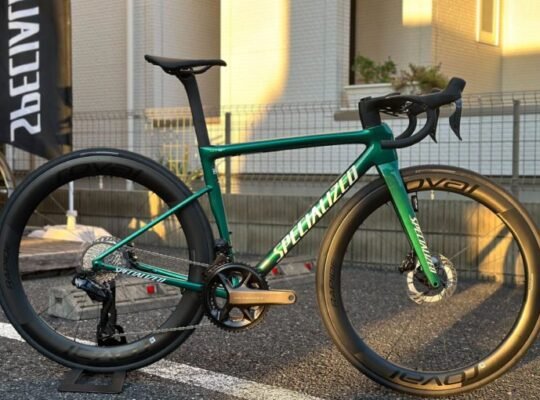 2025 Specialized Turbo Levo SL 2 Comp Alloy