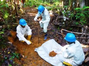 Learn Ethical & Efficient Gold Production Process