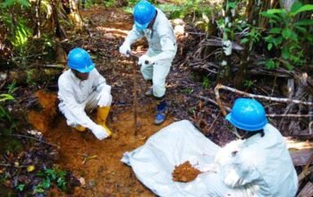 Learn Ethical & Efficient Gold Production Process