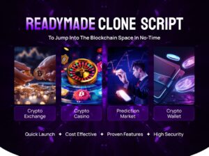 Ready-Made Clone Script for Entrepreneurs Who Want to Start Smart and Fast