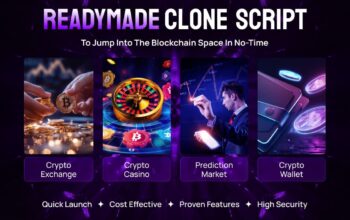 Ready-Made Clone Script for Entrepreneurs Who Want to Start Smart and Fast