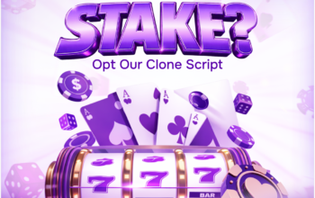 Start Online Betting Business Using Stake Clone Script – Free Demo Available